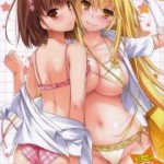 [Doujins] C84 Doujins Batch 02 (C84同人バッチ02)